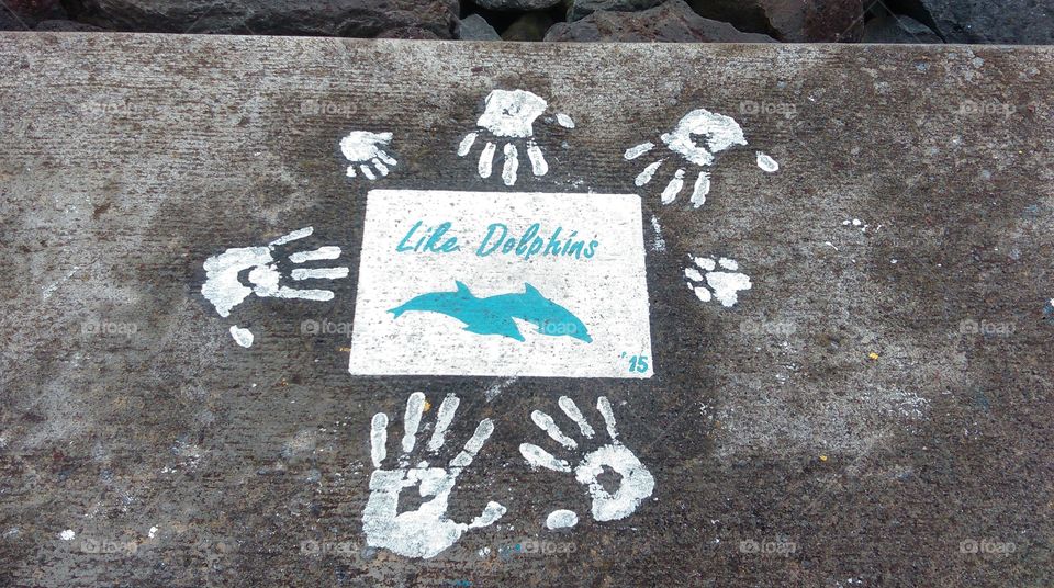 dolphin graffiti