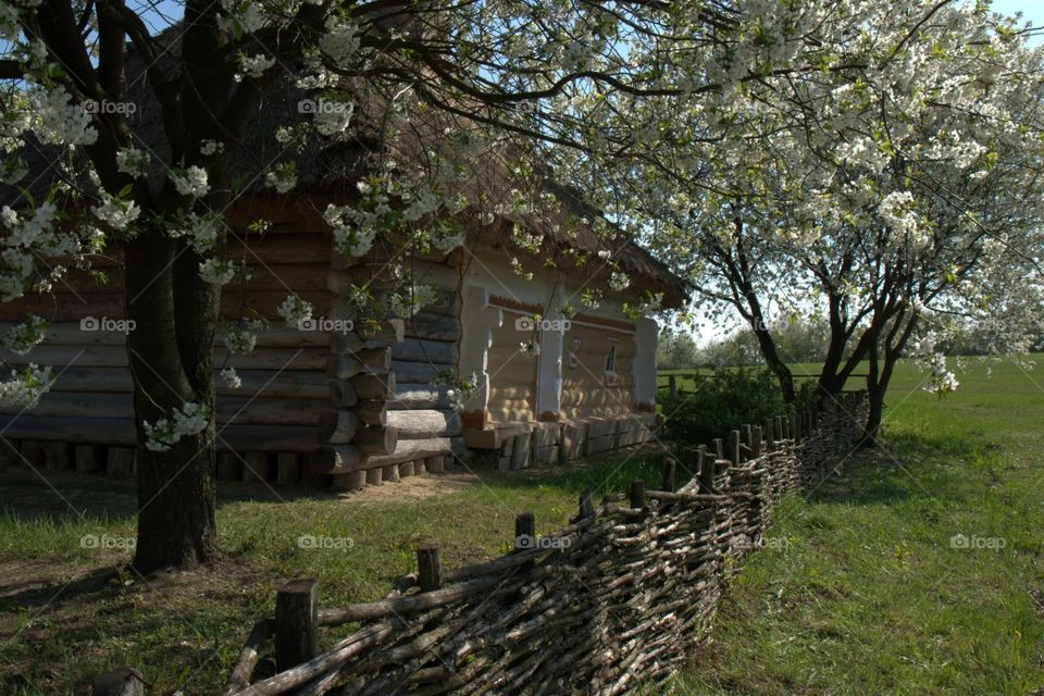 A traditional Ukrainian village house 