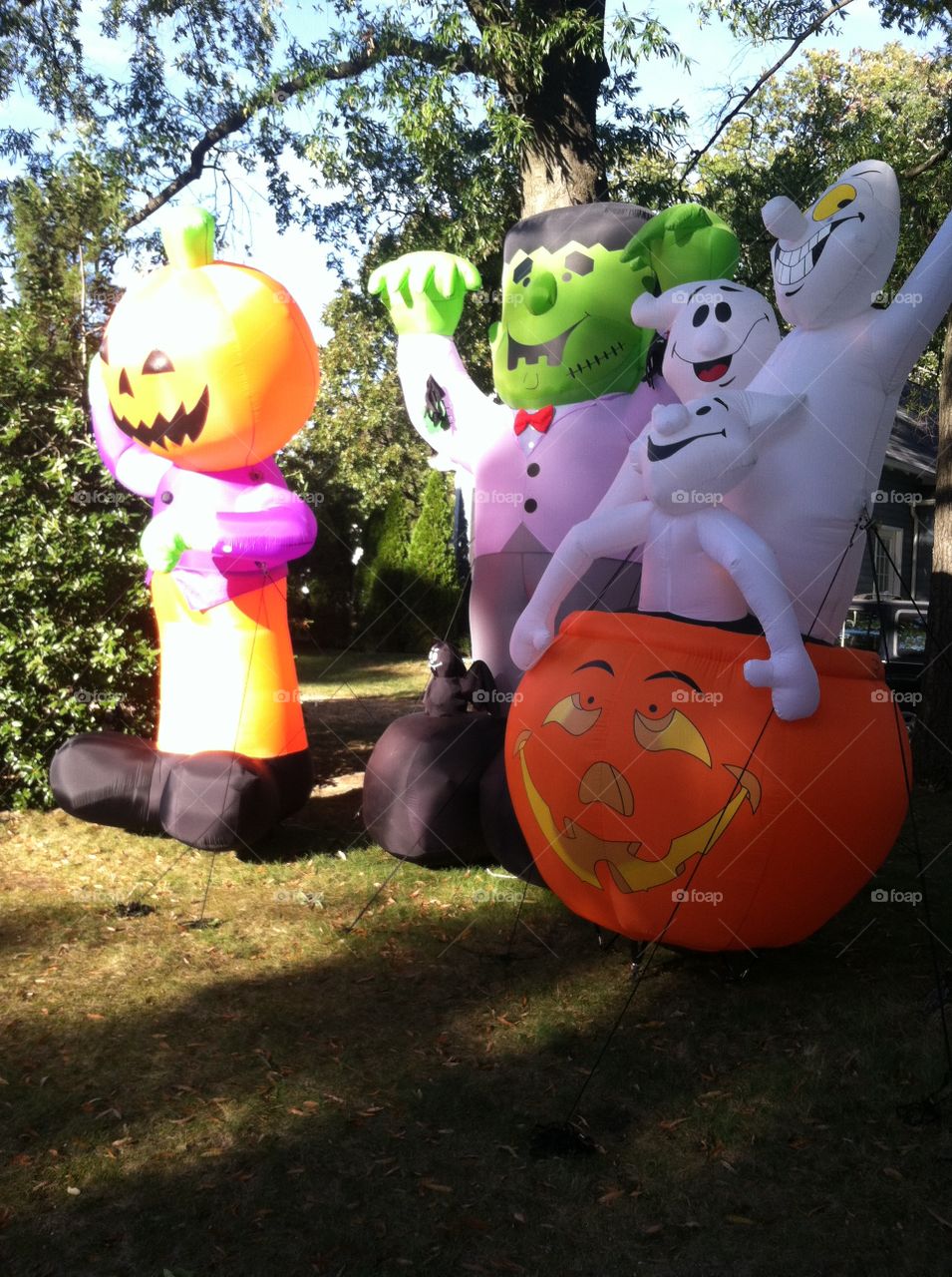 Fun, Child, Grass, People, Festival