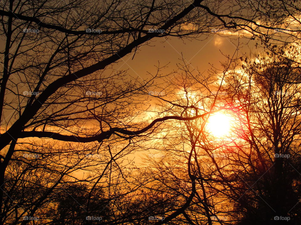 Fiery sunset