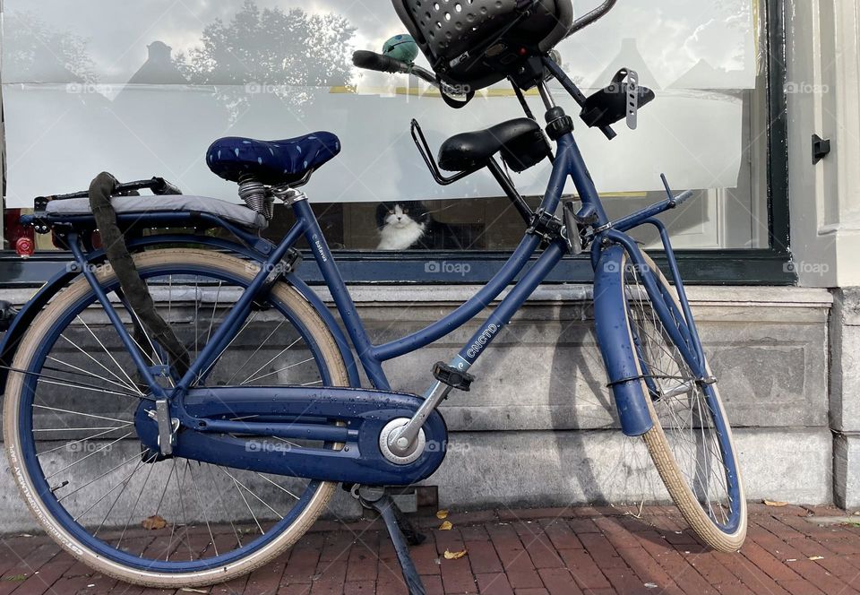 Cat sitting guard at parked bike