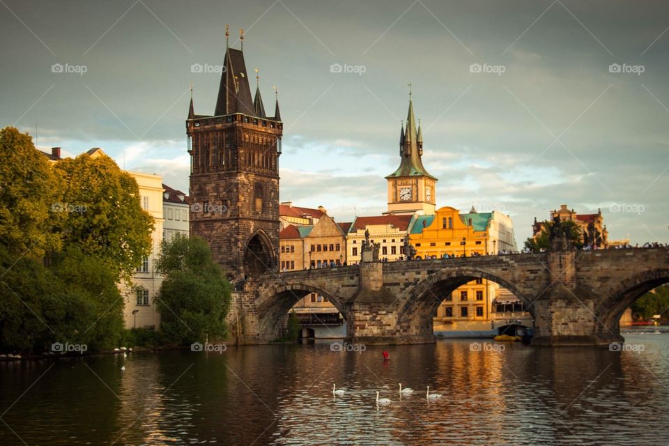 Charles Bridge