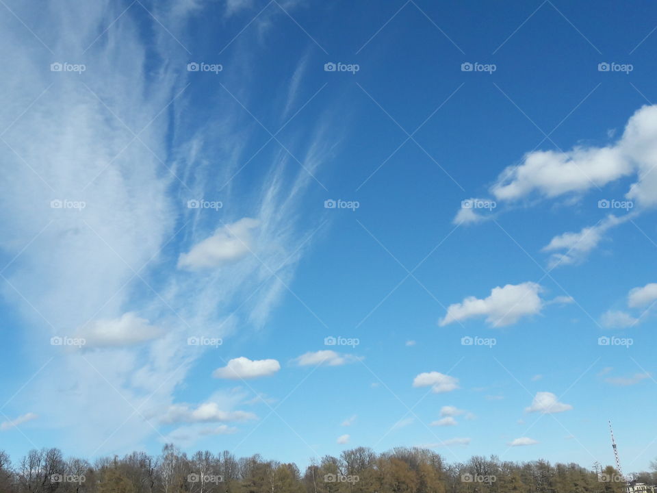 park spring time sun sunny colors colorful nature wild plants flowers amazing stunning cool nice weather hot lovely sky forest grass view splendid