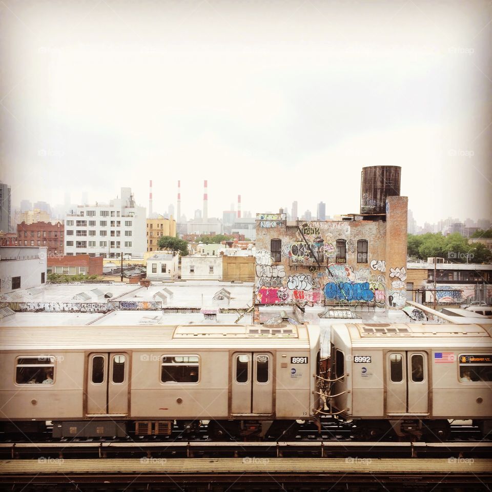 Train Travel with Graffiti 