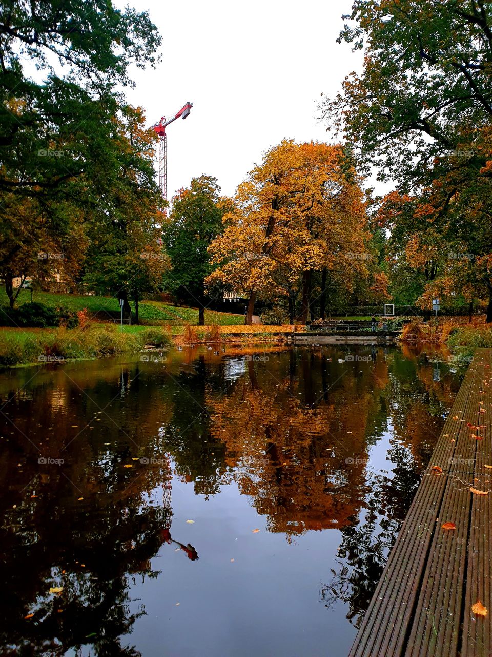 So colorful  , такая осень