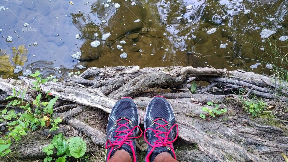 From Where I Stand - Creek in Catskill Mountains