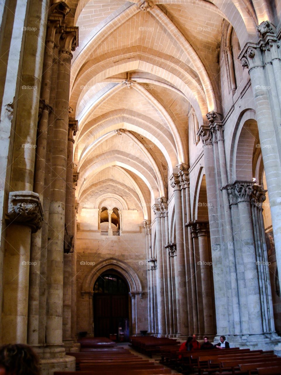 Catedral antigua de Salamanca. Catedral antigua de Salamanca (Salamanca - Spain)