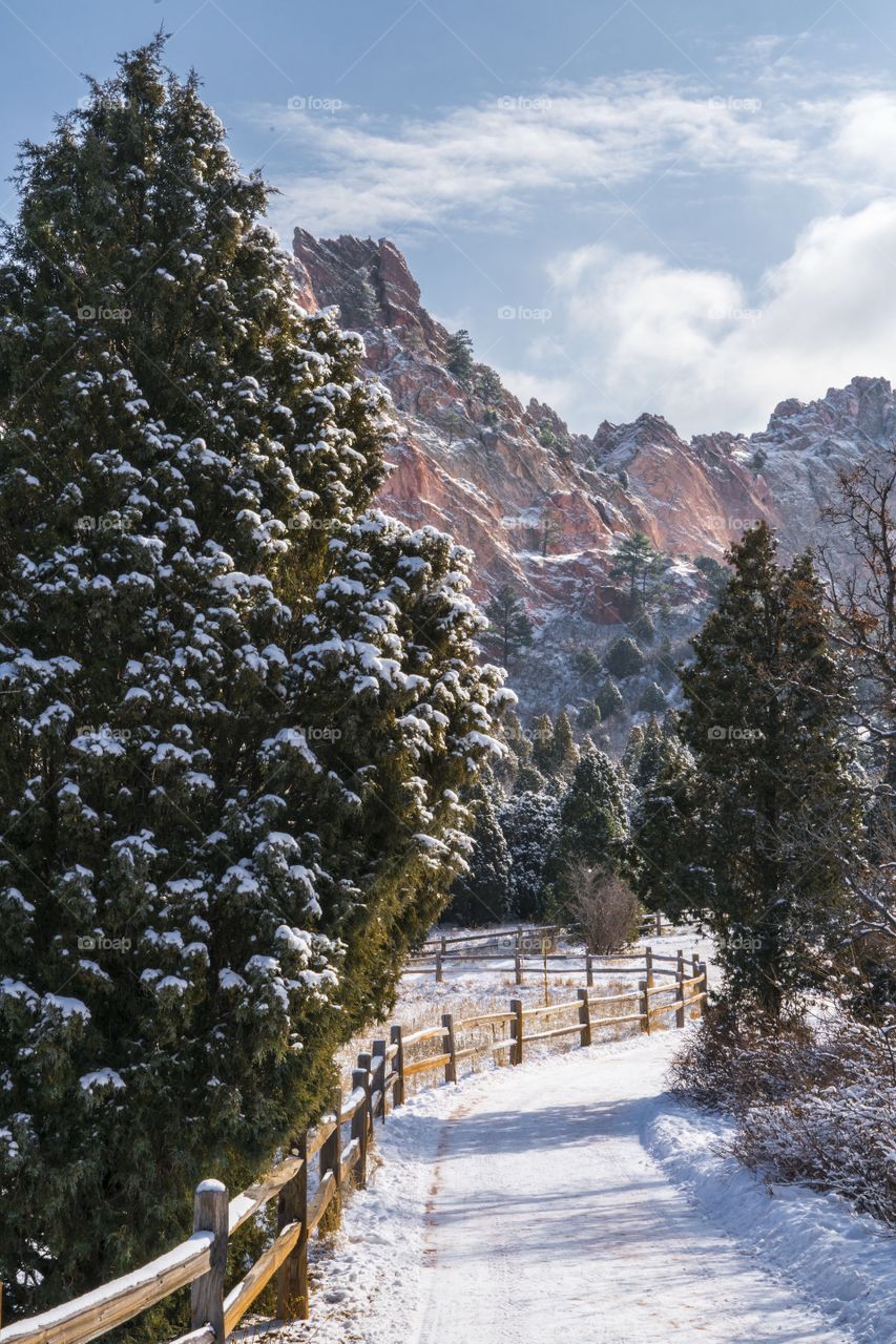 Mountain Scene