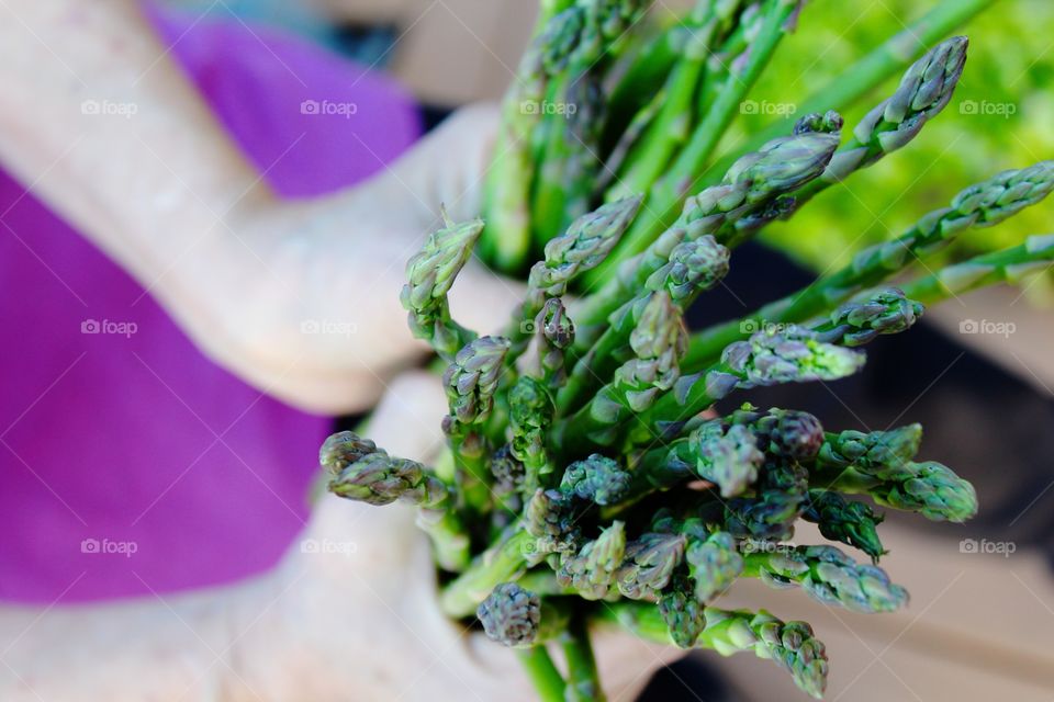 Girl holding bunch of asparagus