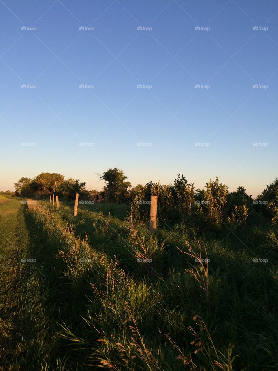 Farm fence