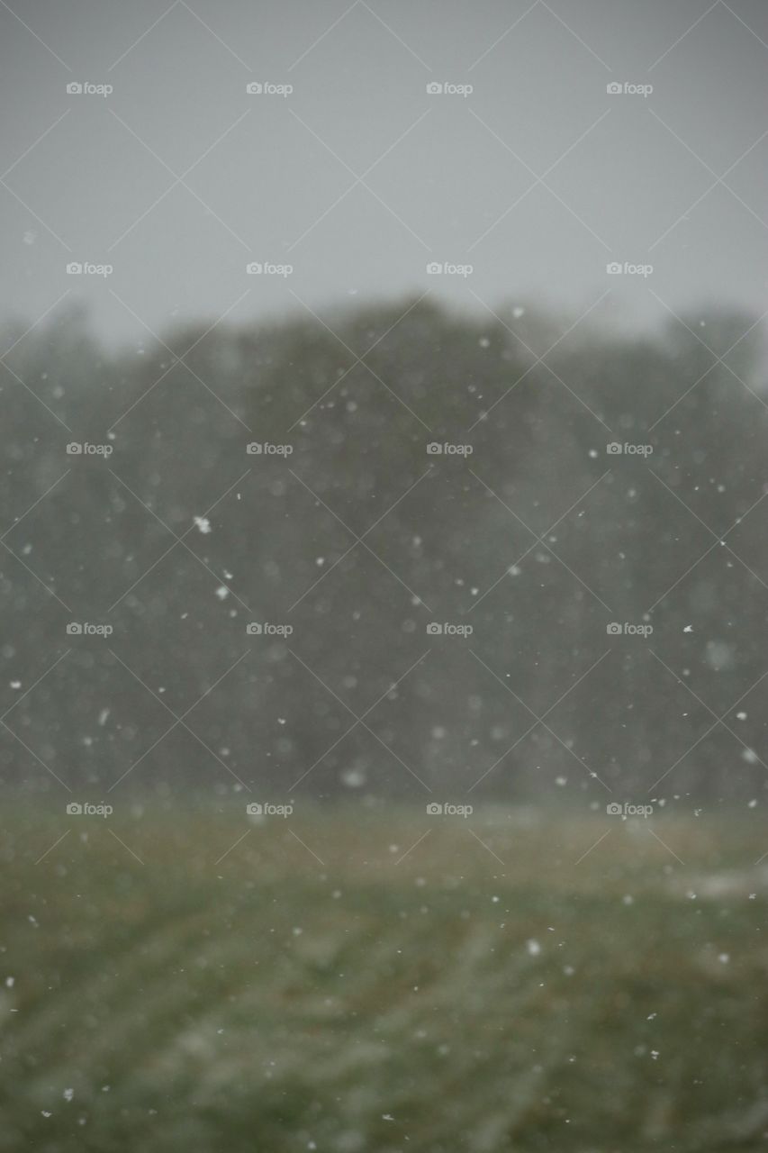 Snow flurries in winter across the field and trees.
