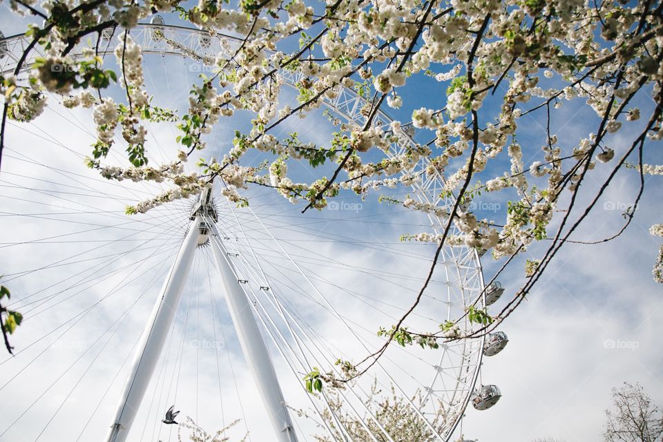 The  London Eye during springtime is a magical view, surrounded with flowers and a blue sky... perfect setting for snapping a chat.