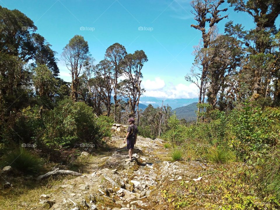 In mountain areas and coconut forests.