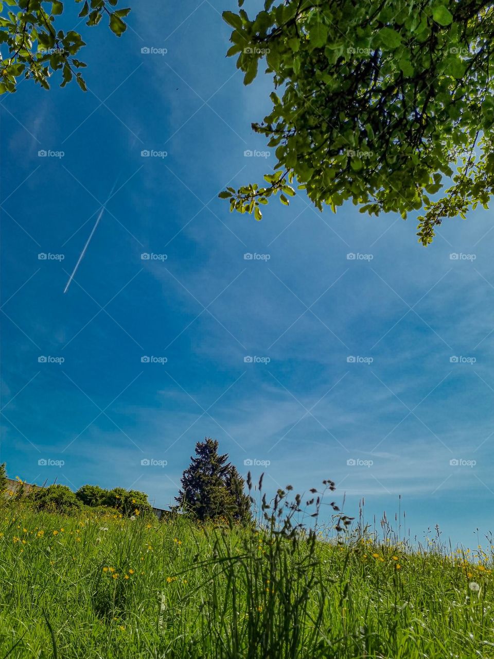 enjoying a outing in nature on the grass. how beautiful nature is