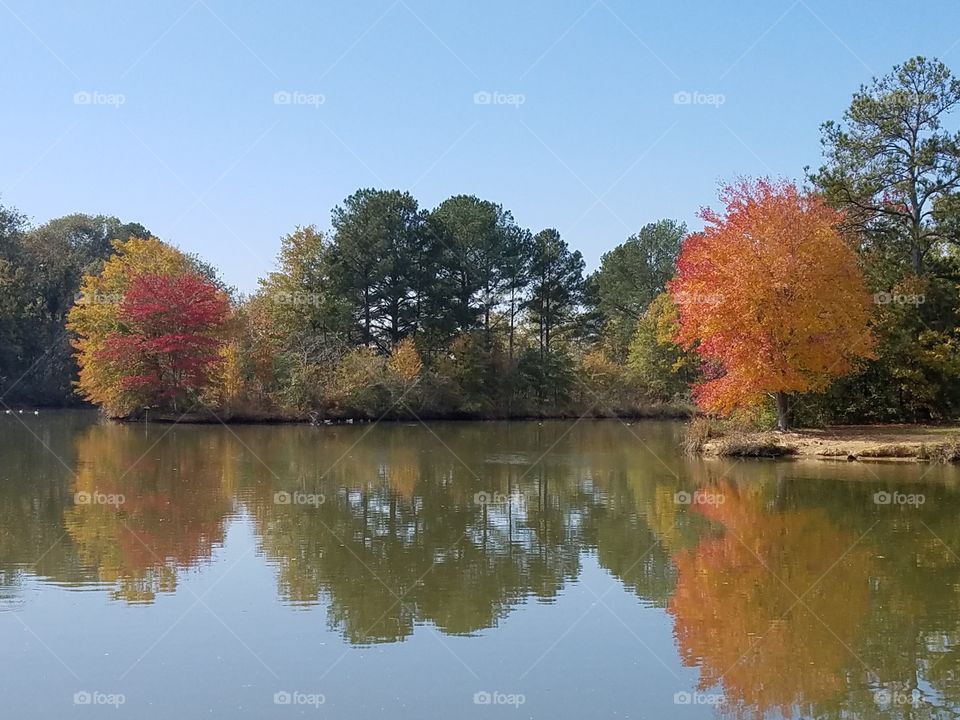 Reflections of fall