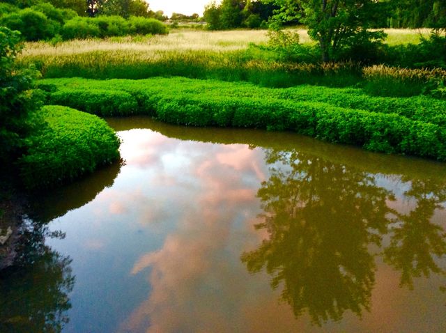 Reflection 