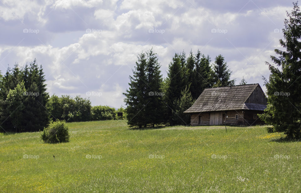 wooden cottage