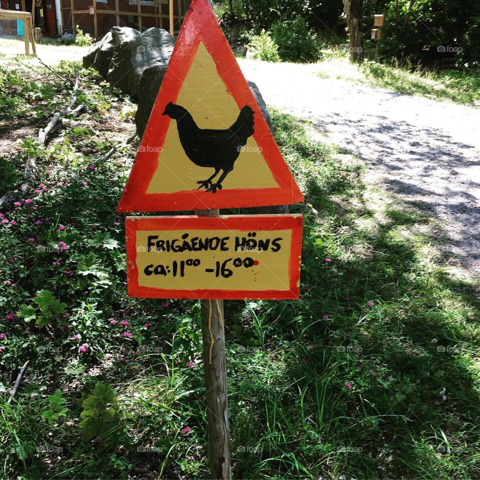 Chicken Warning 