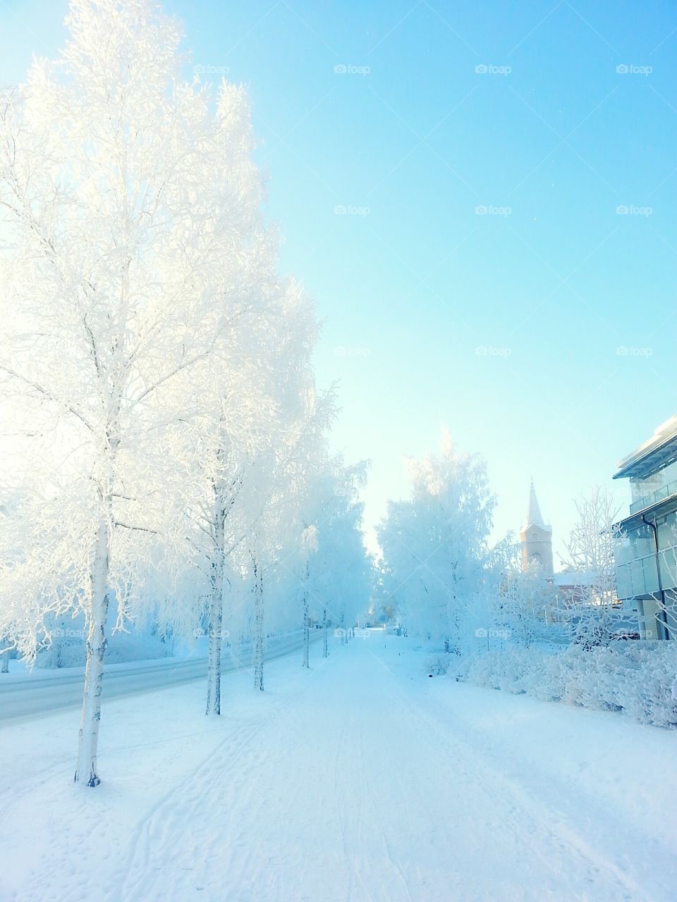 Countryside Winter. Beautiful winter scene captured in Finland.