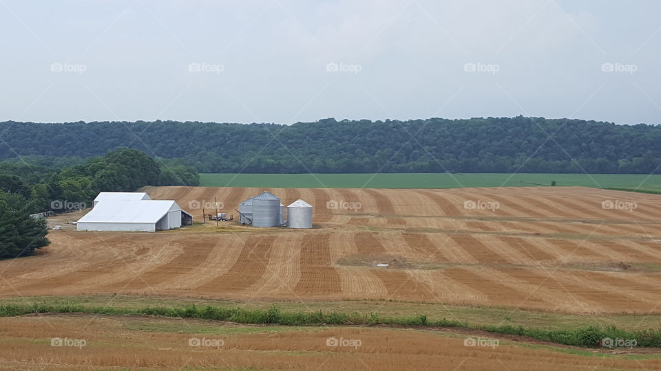 farmland