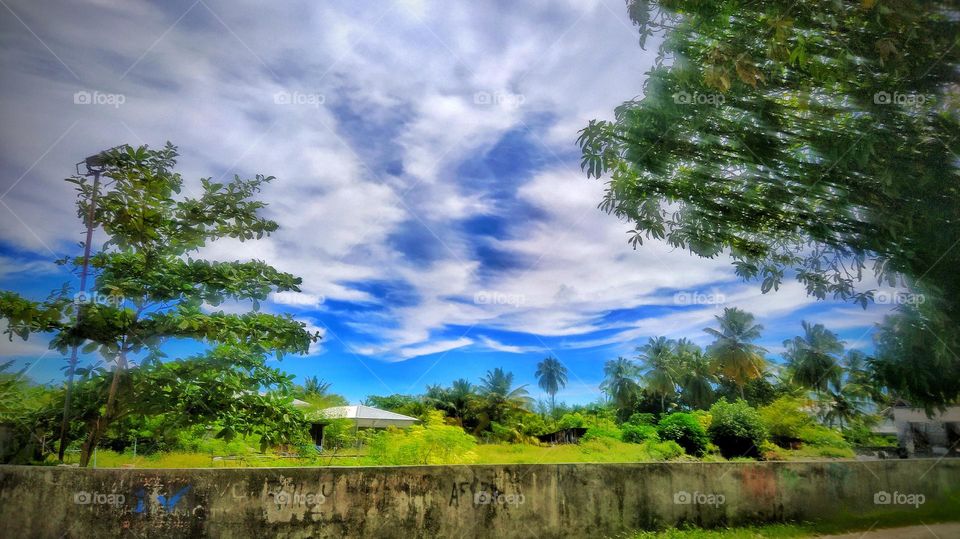 beautiful roadside clear sky view in a sunny day