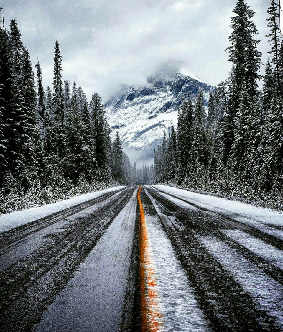 Road, Snow, Wood, Highway, Landscape