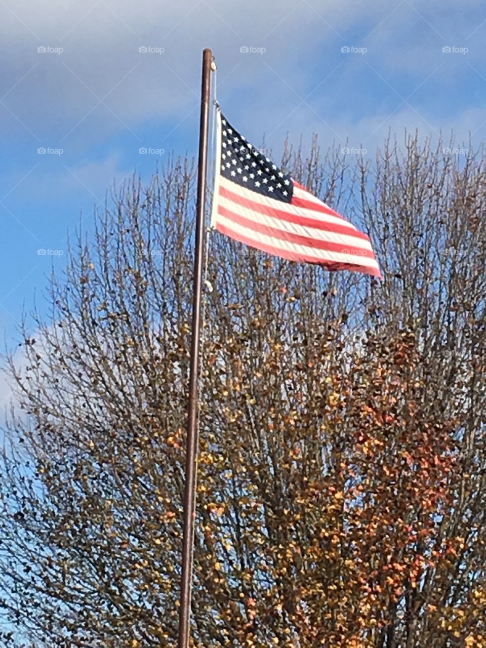 God Bless America! I love all flags from other countries but this ones ours. 