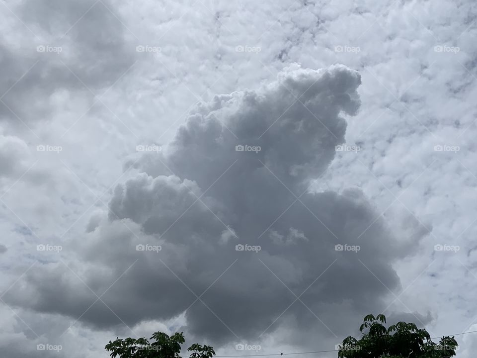 The stories of the nature, countryside (Thailand)