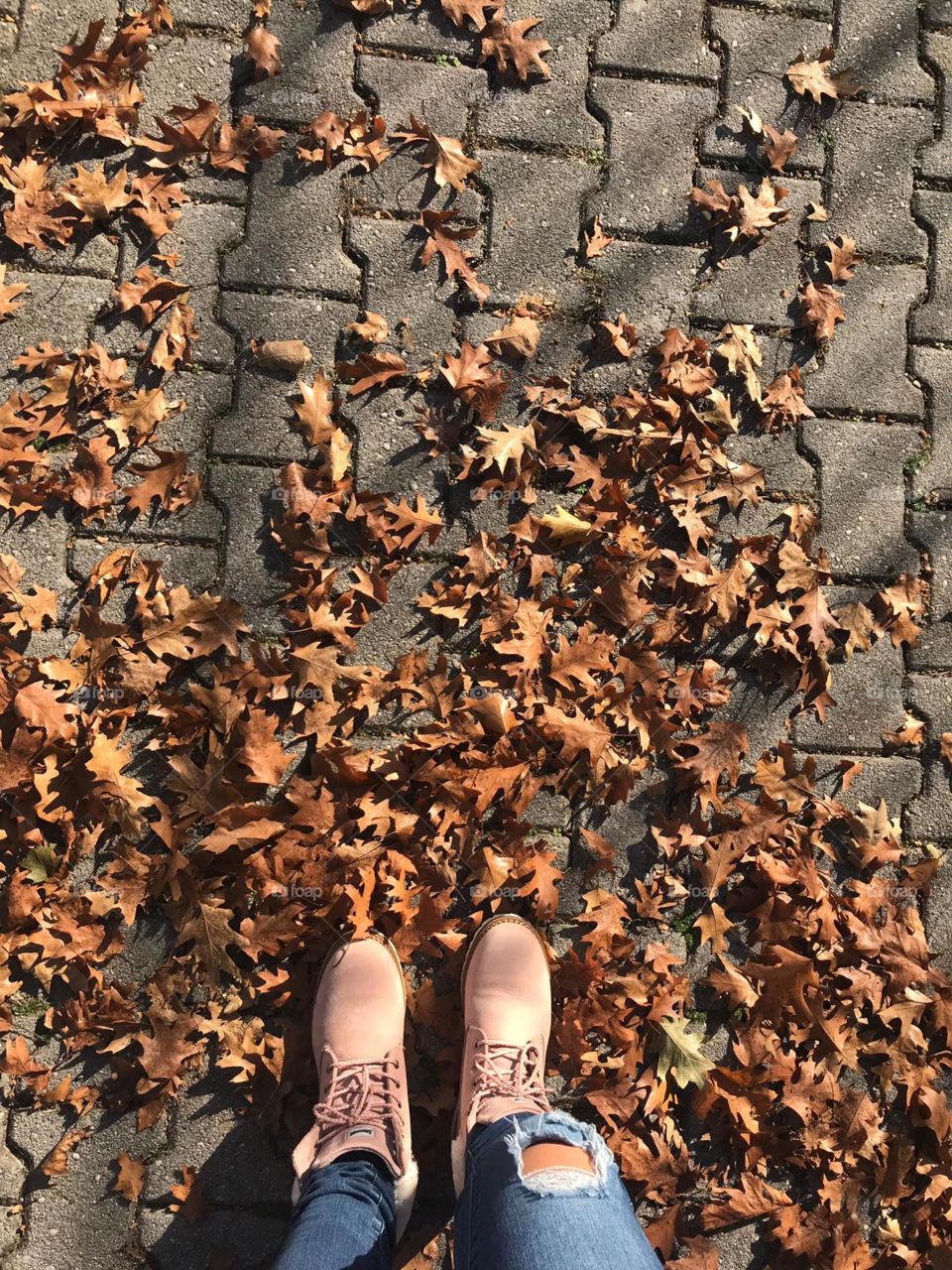 Autumn Vibes🍃