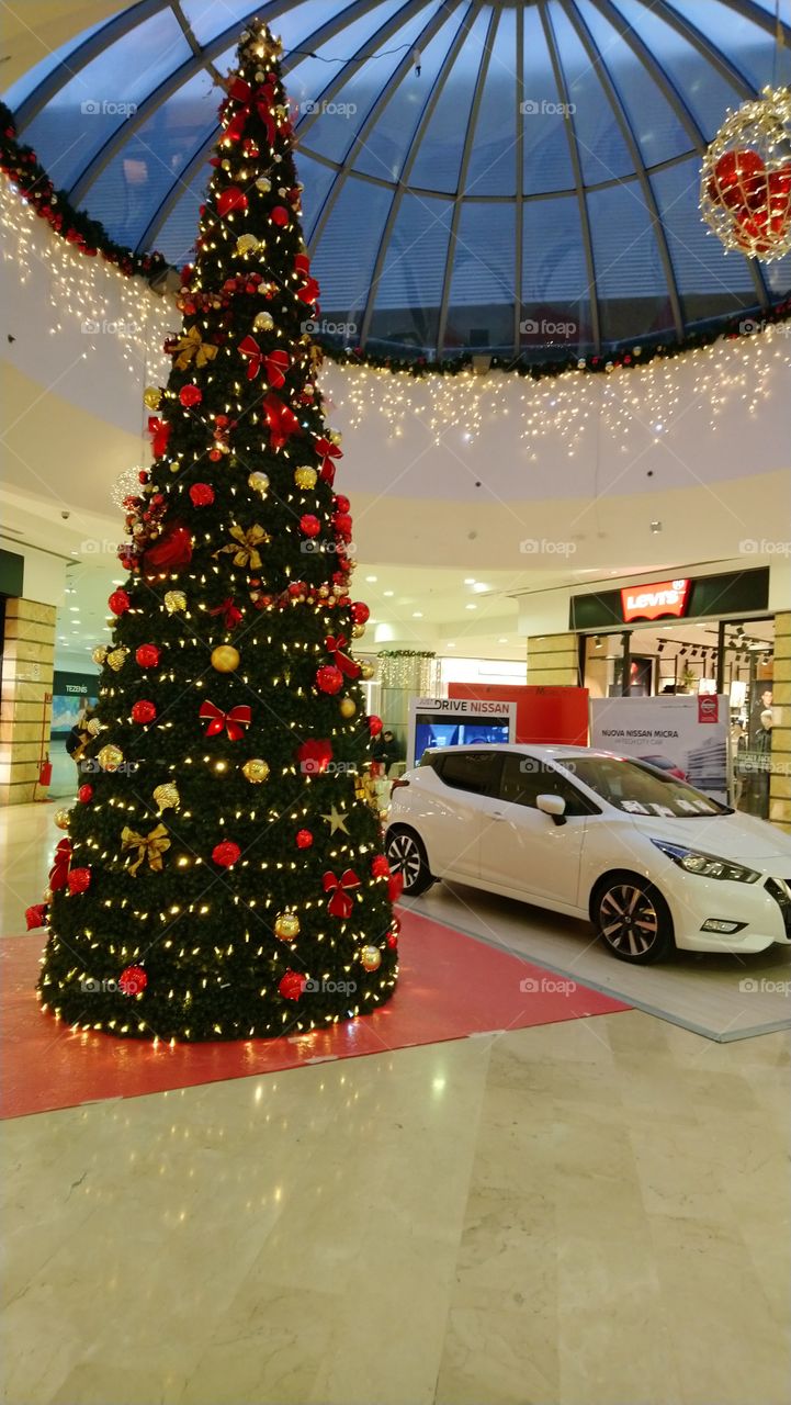 Christmas, tree,interior design, car