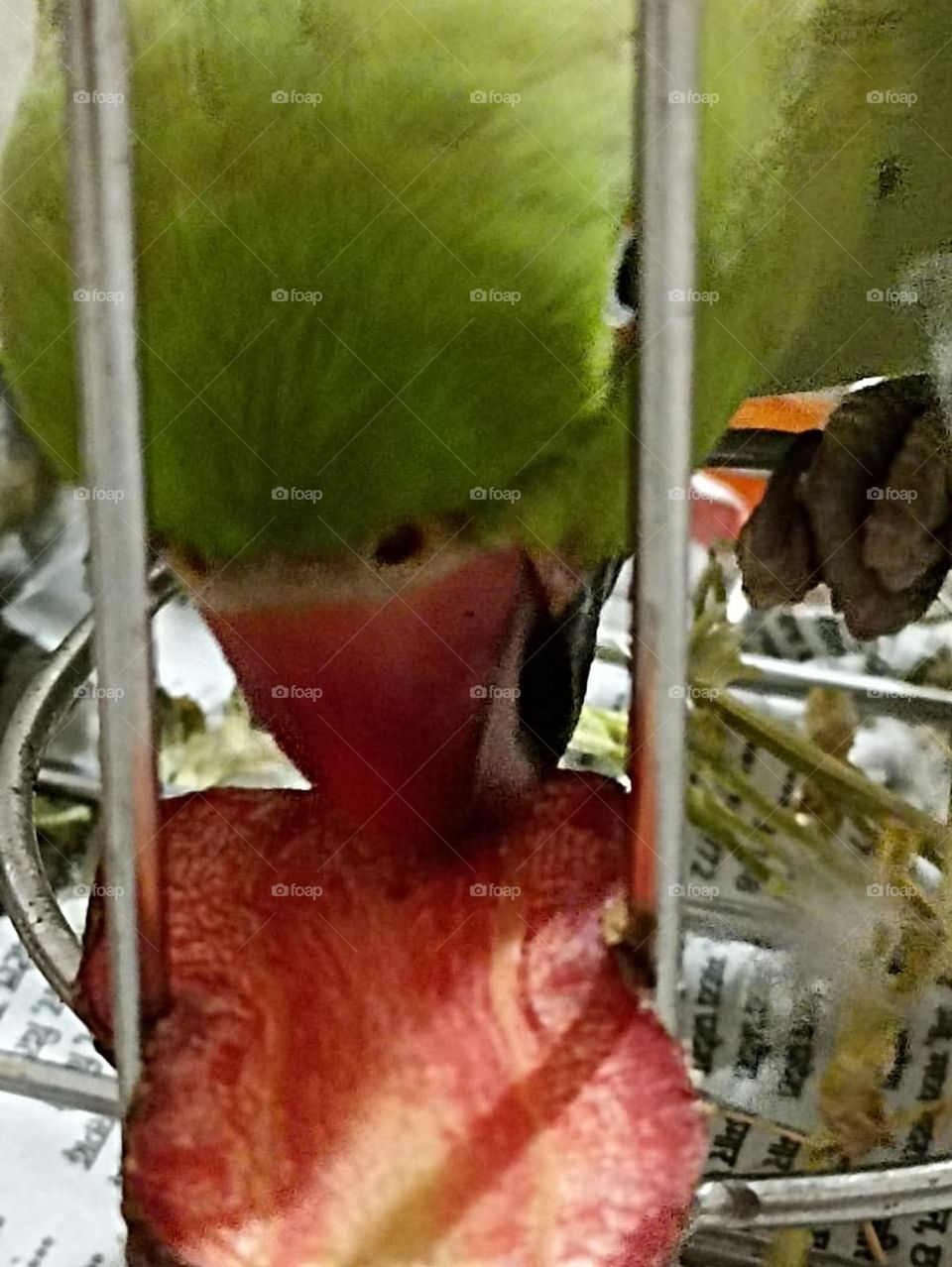 ❤💚❤💚❤💚❤💚