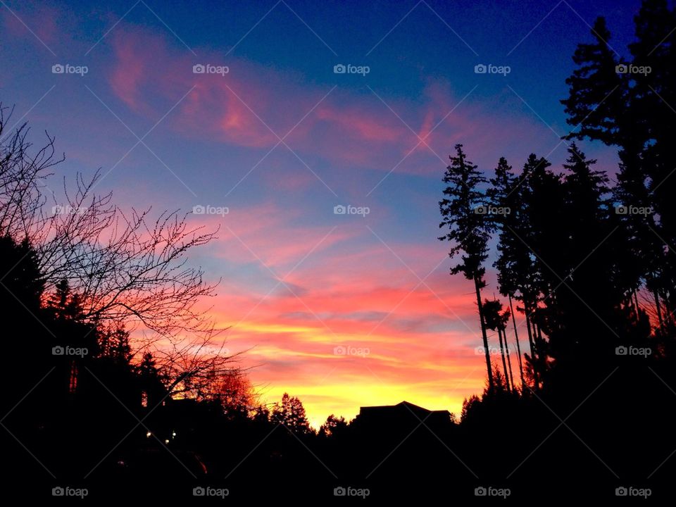 Washington State Sunset