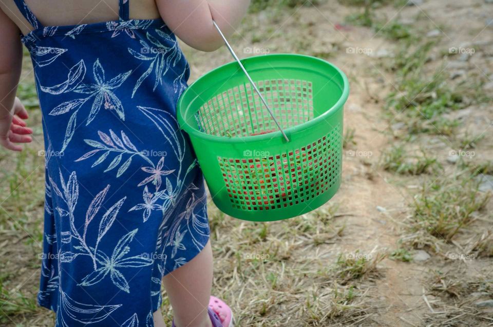 Girl carrying basket of strawberry