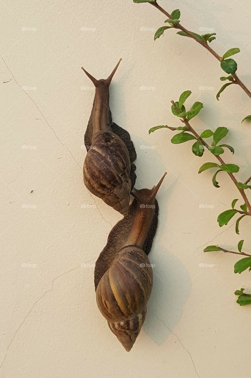 Couple Should Learn and Study together 