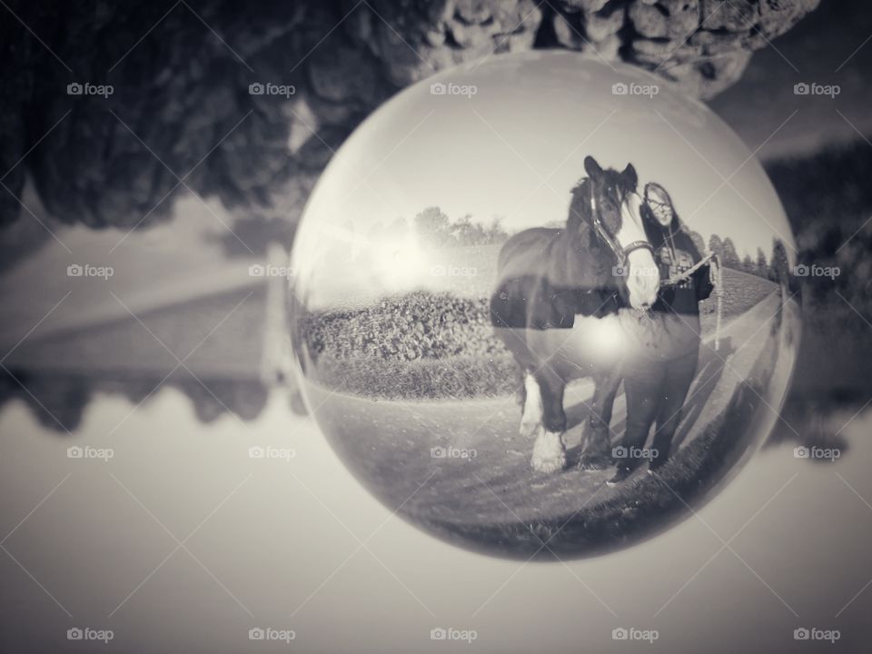 Tinker Horse in the lensball