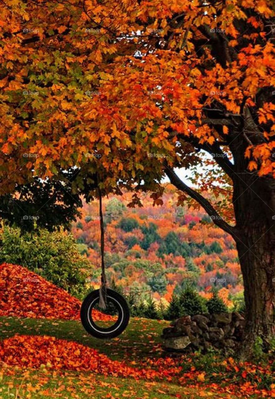 Autumn tire swing