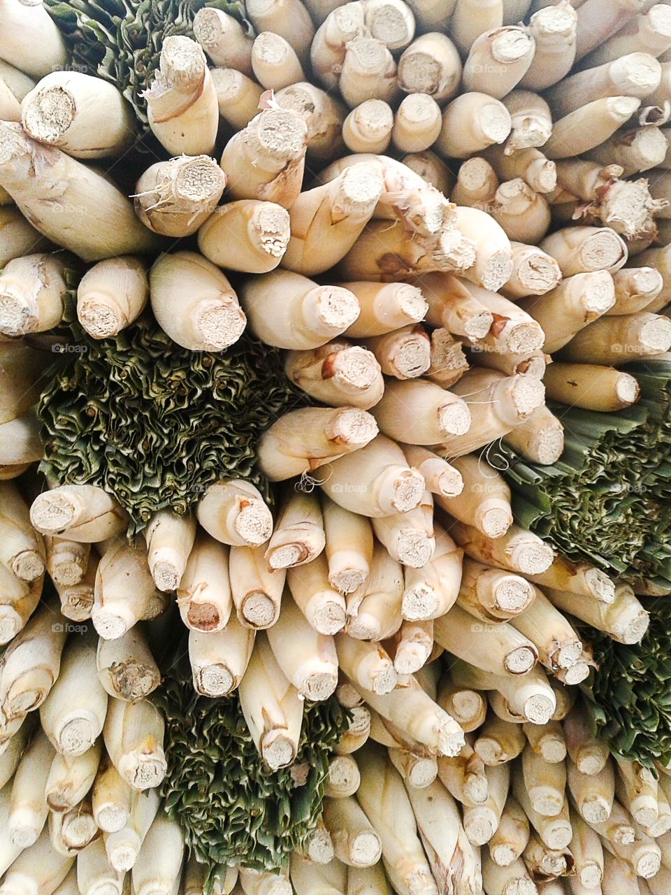 lemongrass. lemongrasd tree