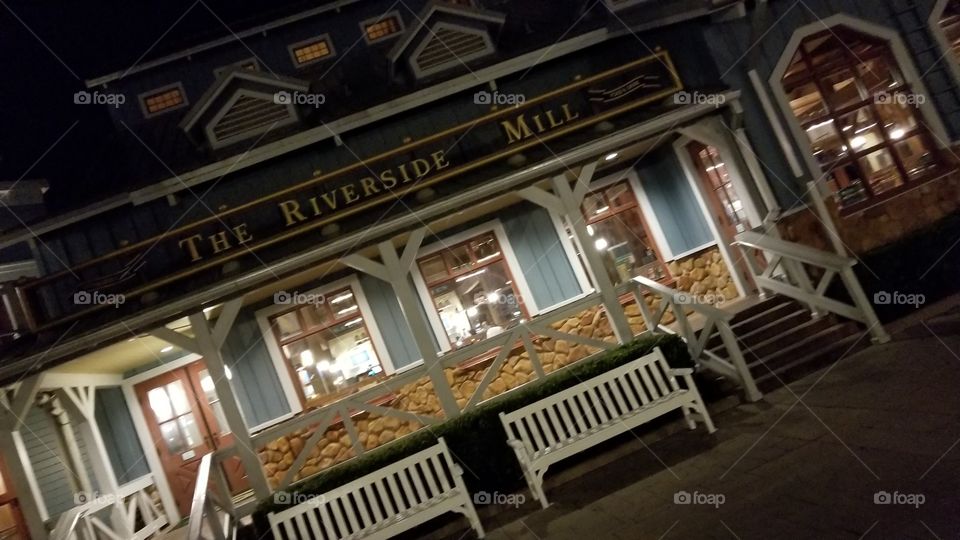 Beauty In The Shadows