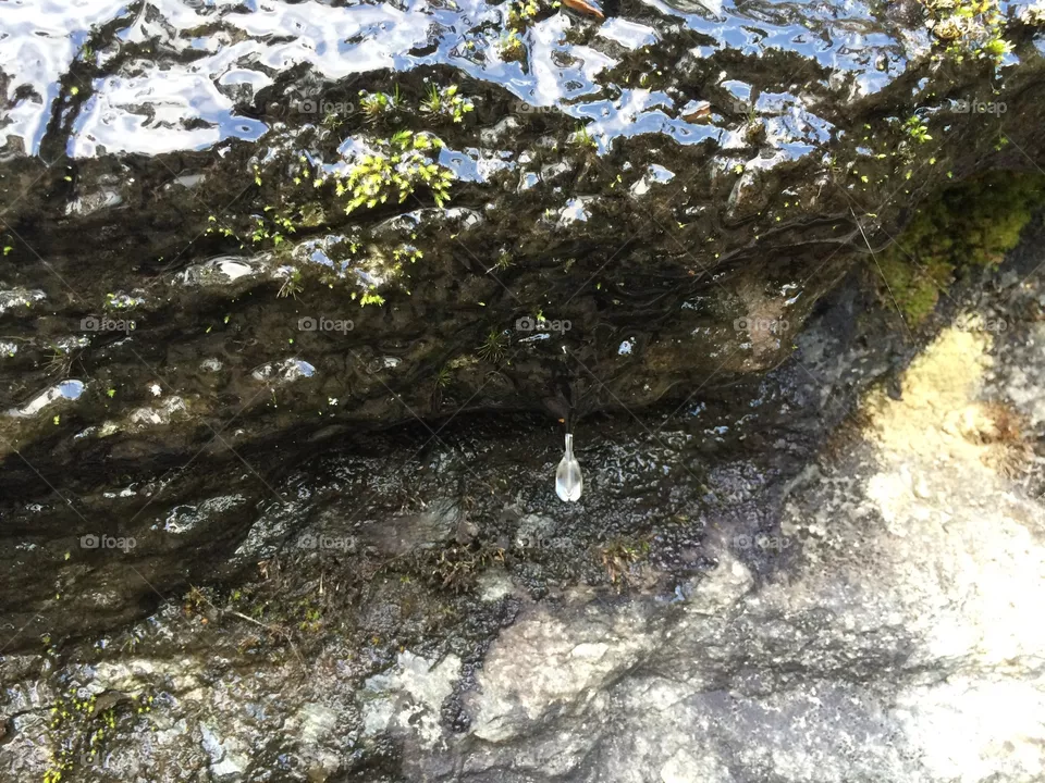 Droplet