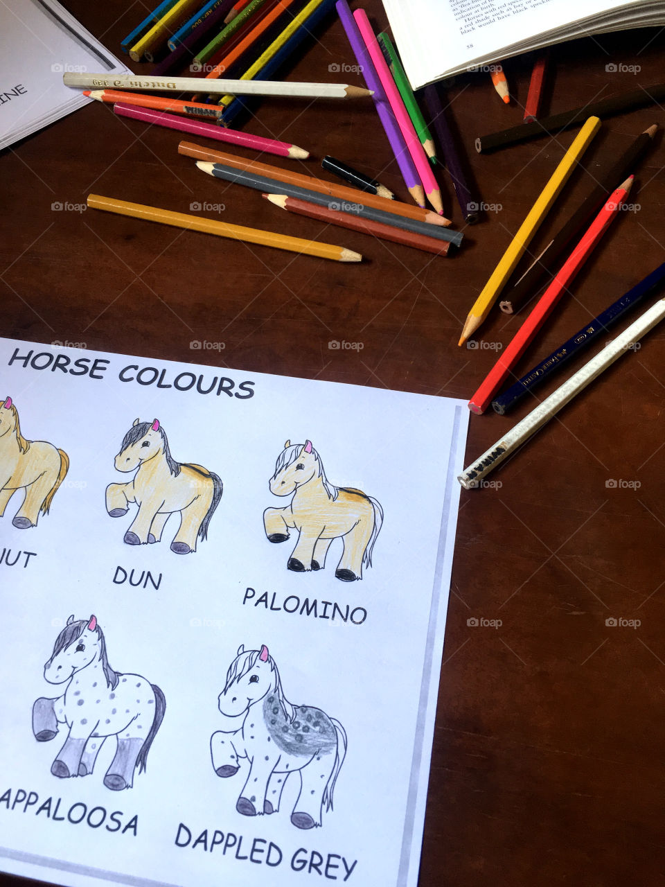 Kids coloring activity