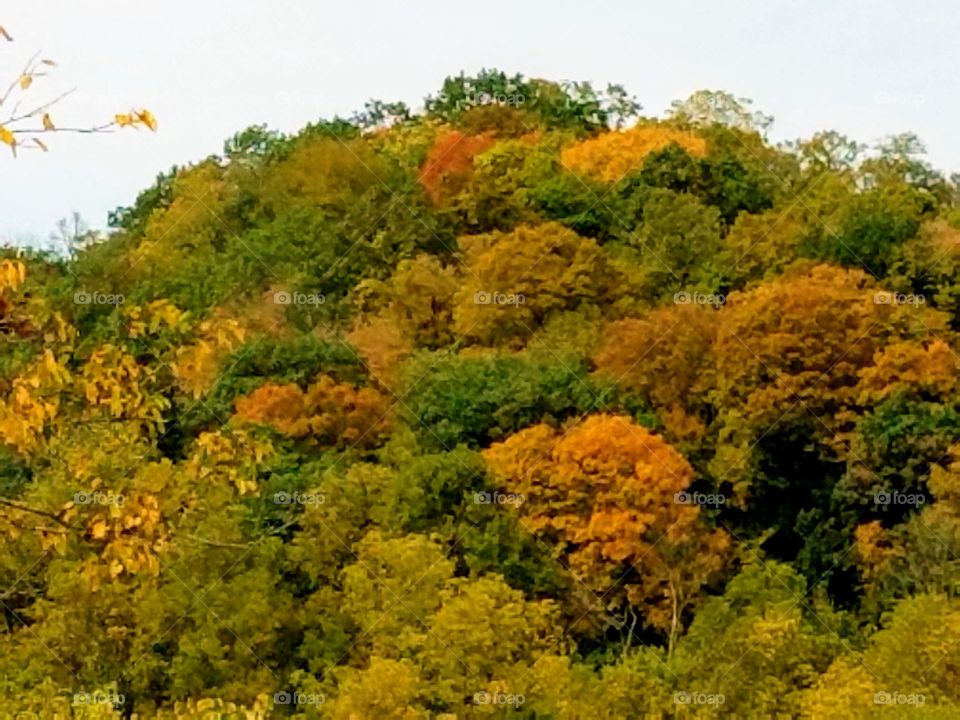 Driving the Back Roads and enjoying everything around us