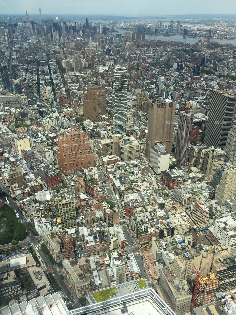 View from Freedom Tower