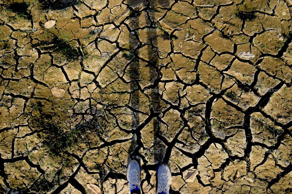 dried up land in the jungles of Sri Lanka
