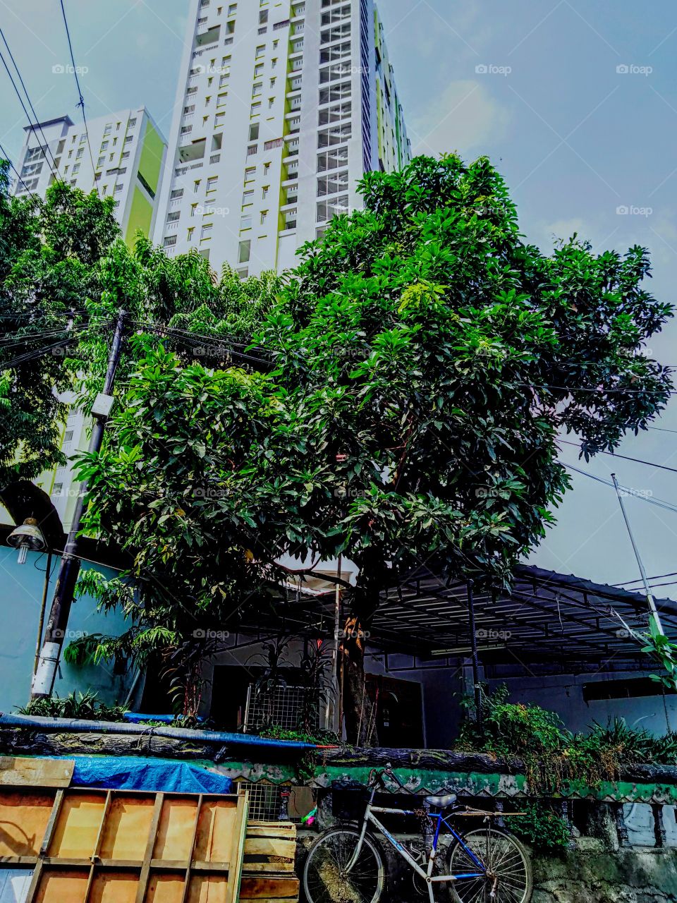 Urban life in Jakarta