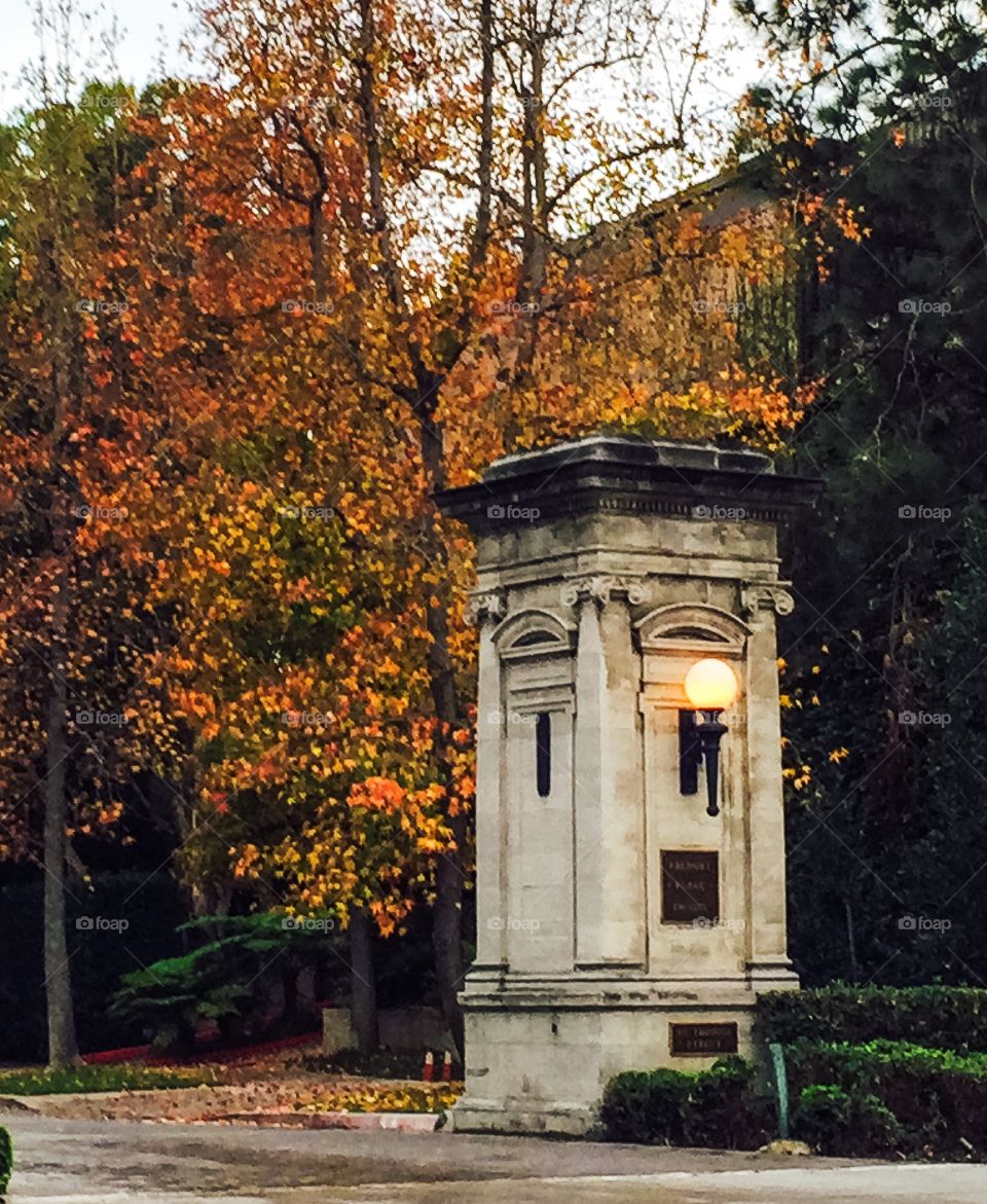 Autumn pillar