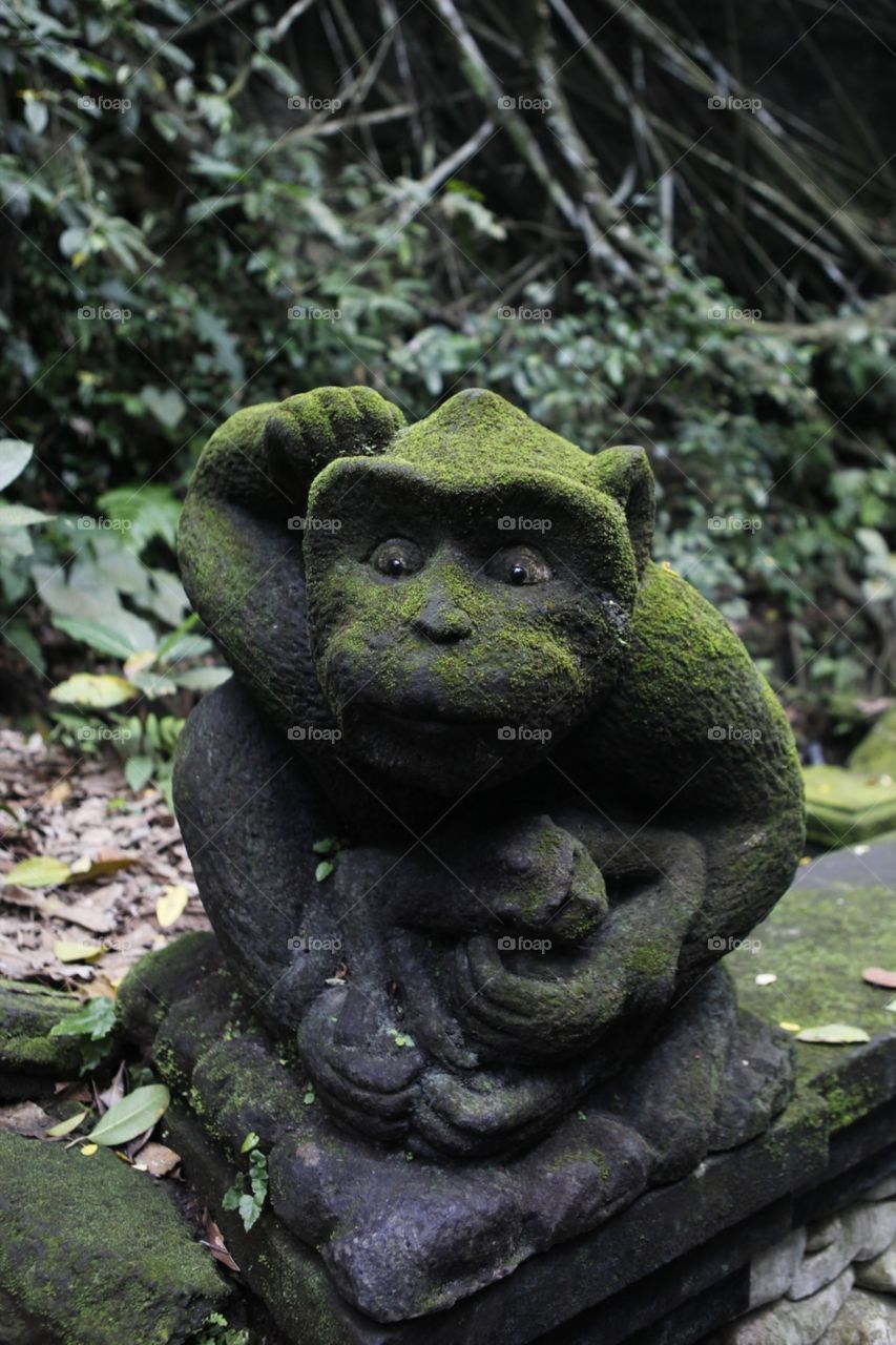 Stone statue frog
