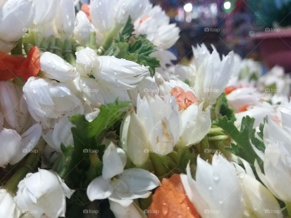 Indian Pooja Flower Bucket