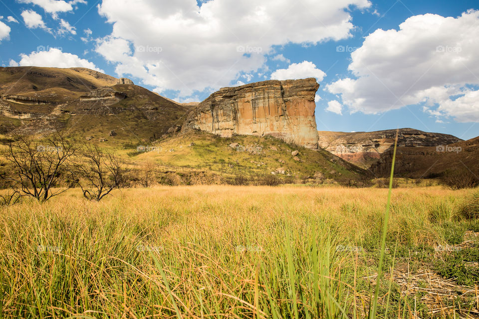 Love how this sandstone rock lights up at sunset - named Golden Gate for that reason. Image of fields and sandstone mountain at sunset, image from South Africa