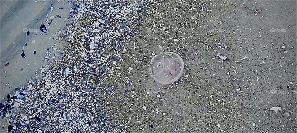 The „E Sea“ in the „Baltics“ region with the former „East Germany“ once called DDR“ bordering on the „South“ washes debris, gravel & lastly sand onto the shore as well as „jellyfish“ & related marine creatures. 2022. Hypnotic Productions