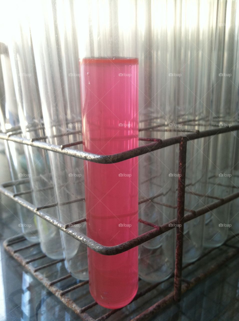 Test tube experiment . Red test tube results 